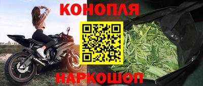 стаф Кинель