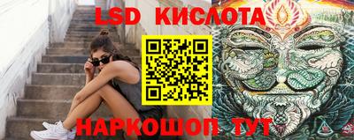 стаф Кинель