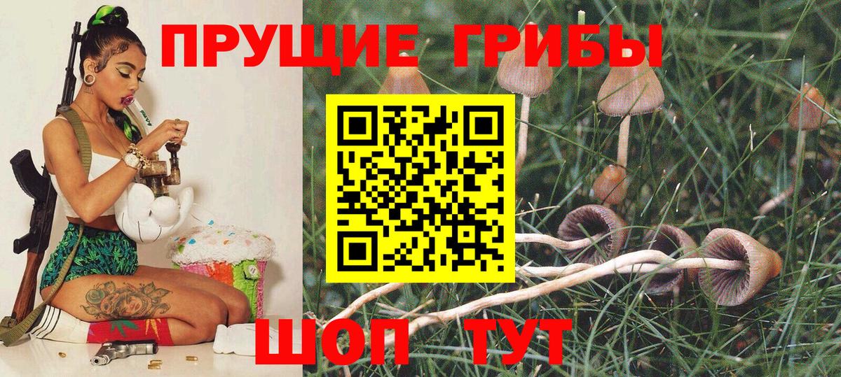 Псилоцибиновые грибы мицелий Кубинка