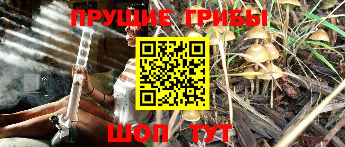 Псилоцибиновые грибы мухоморы  Галлюциногенные грибы Psilocybe  где продают   Вход с VPN  Кубинка 